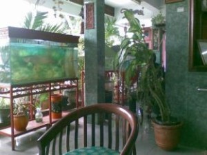 daftar hotel serang banten